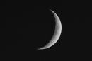XT203841M_resize.JPG