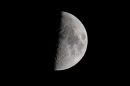 XT203844M.JPG