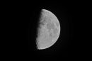 XT205492M.JPG