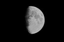 XT205495M.JPG