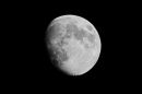 XT205536M.JPG