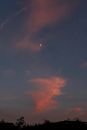 XT220554M_resize.JPG