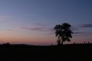 XT220644M_resize.JPG