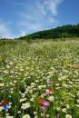 XT324645MMS11.jpg