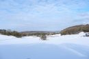 XT326272M.JPG
