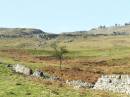 YORKSHIRE_DALES_14.jpg