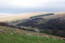 YORKSHIRE_DALES_2.jpg