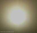 Y_SUN.jpg
