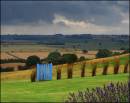 Yorkshire_Lavender_1.jpg