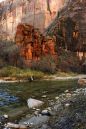 Zion_River_JRD0343.jpg