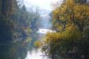 autumn4.jpg