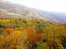autumn5.JPG