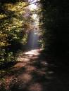 autumn_8.jpg