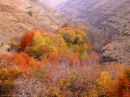 autumnal.JPG