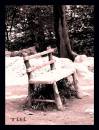 bench.jpg