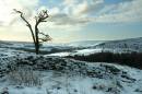 bilsdale-in-the-snow027_1_.JPG
