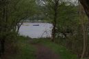 boats6.jpg