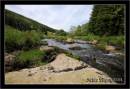 bowland_1.jpg
