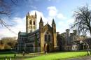buckfast171206009a.jpg