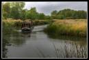 canalboat-2.jpg