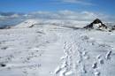 carlton-bank-snow-03.jpg