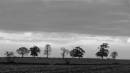 coombe_abbey_17112007-59.jpg