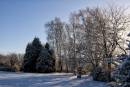 cransnow050109_0089.jpg