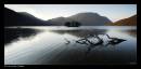 crummock_water_log.jpg