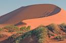 crw_1694_Sossusvlei.jpg