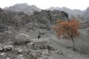 darband.jpg