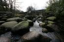 dartmeet.jpg