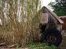 day_174_timber_shack_r.jpg