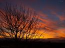 day_177_silhouette_sunrise.jpg