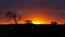 day_178_tractor_silhouette_sunrise.jpg