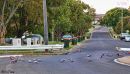 day_3_galahs_resize.jpg