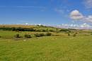 devon1.jpg