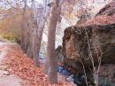 fall_2.JPG