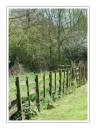 fence.JPG