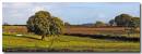 field241008018_copy.jpg