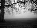 fog.jpg