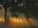 fog_2.jpg