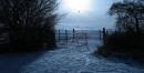 frosty_evening.jpg