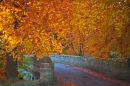 golden_bridge_1_edited-1.jpg