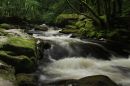 golitha_falls_1.jpg