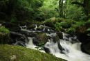 golitha_falls_2.jpg