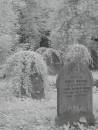grave_0264.jpg