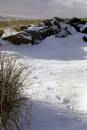 grouse_prints_in_the_snow_woodhead.jpg