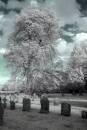 ir_0320.jpg
