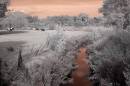 ir_0337.jpg