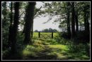 jigsaw_picture_view.jpg